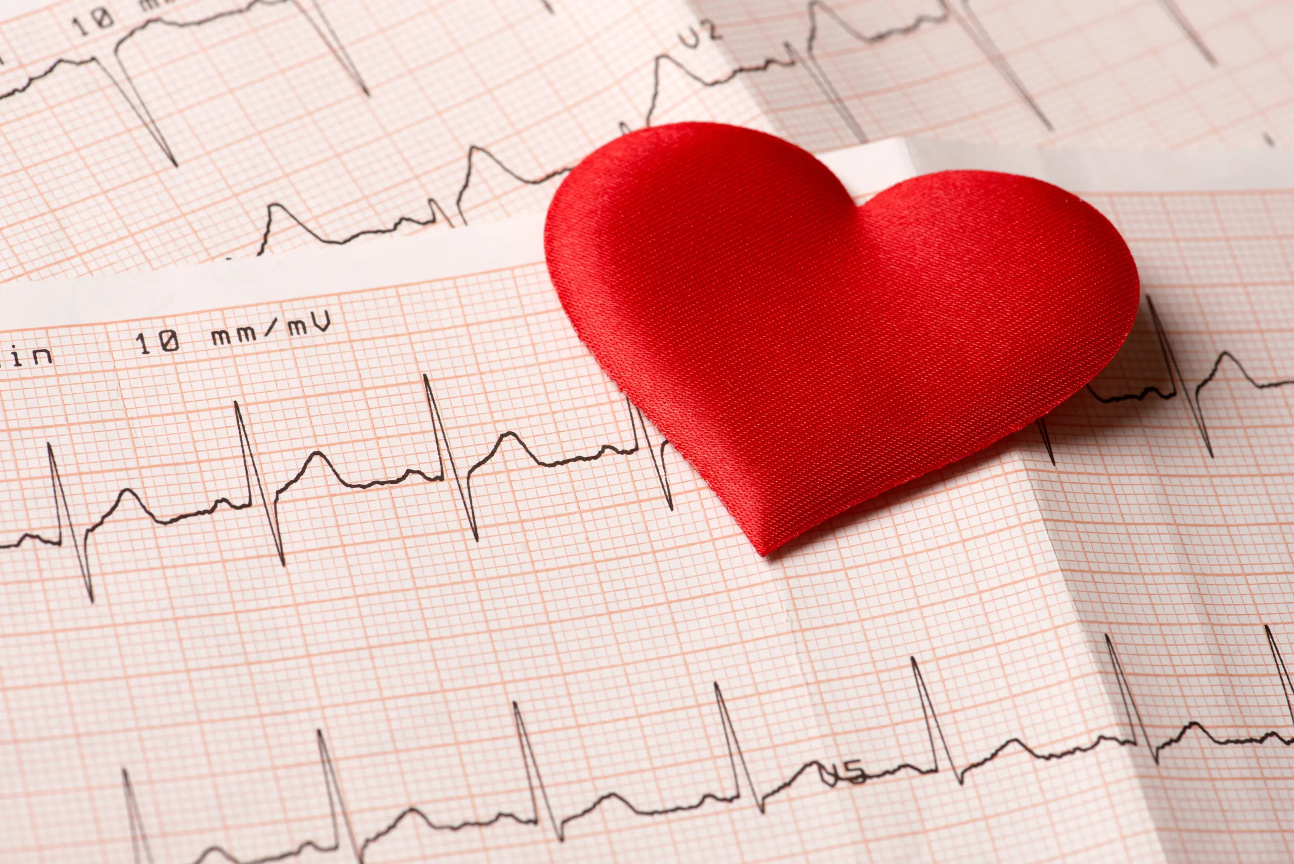 Red heart on electrocardiogram (ECG) showing heart health screening results.