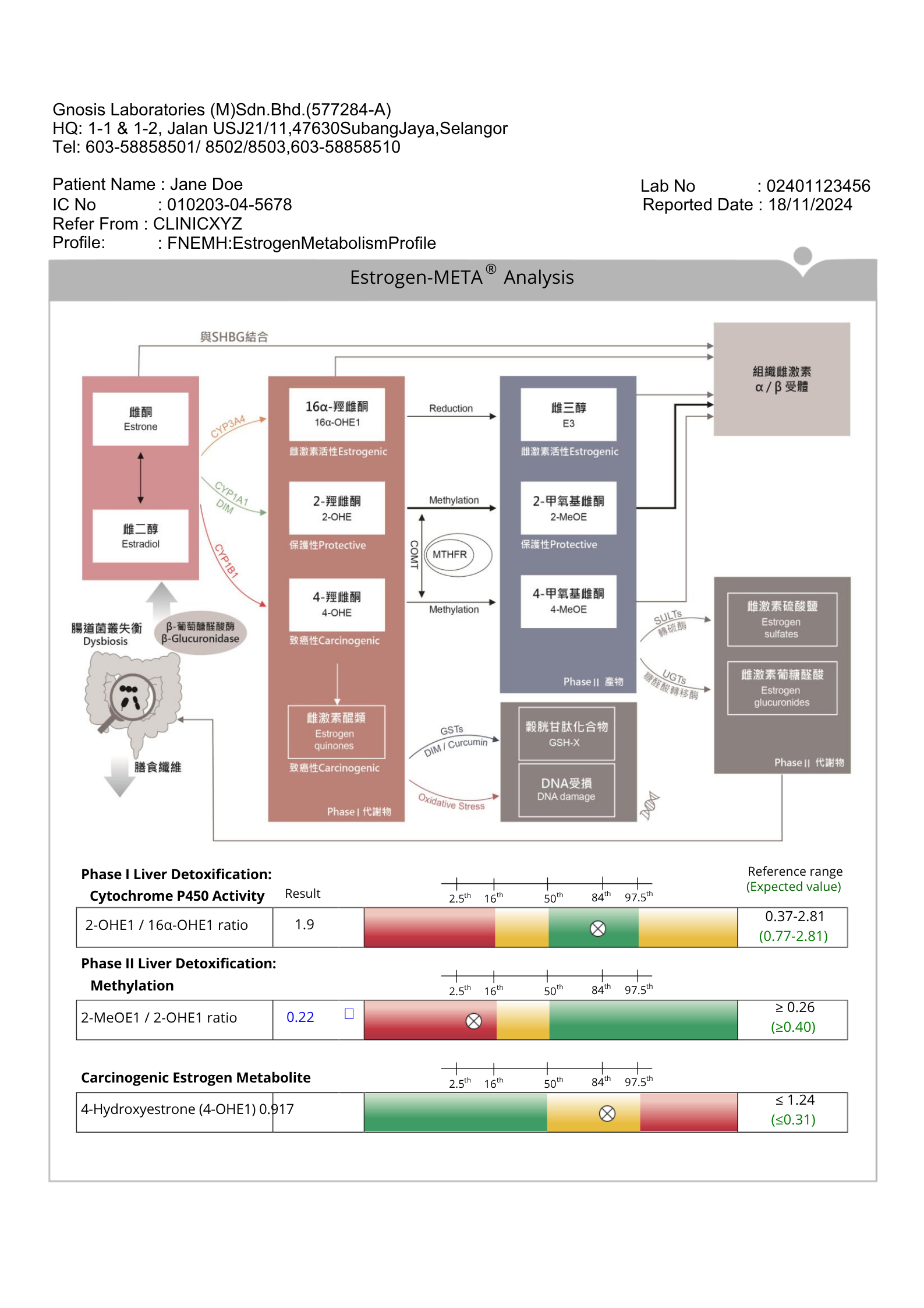 Estrogen metabolism analysis chart with reference ranges.