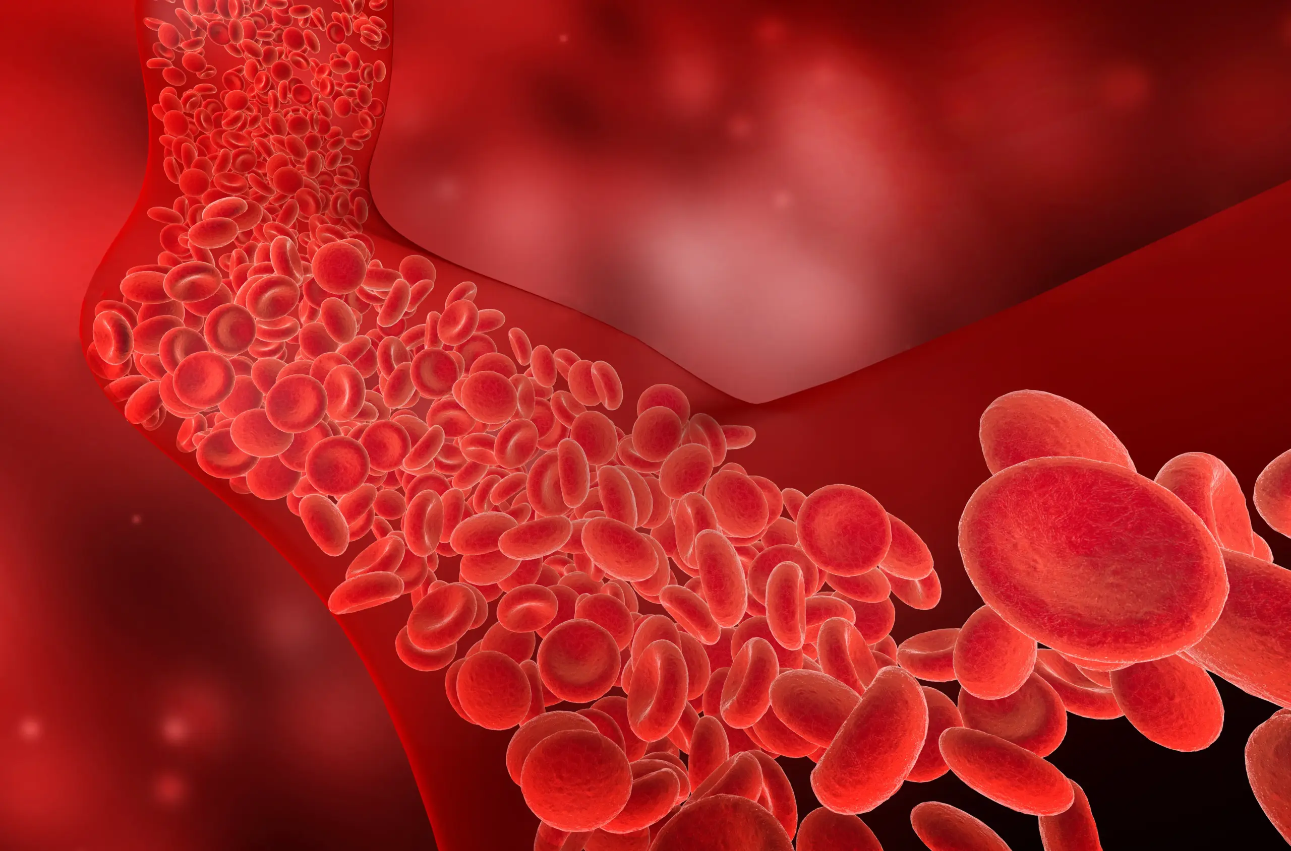 Illustration of red blood cells in artery