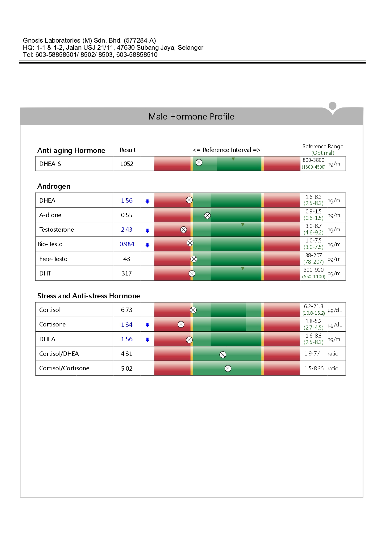 Male hormone profile test results chart.