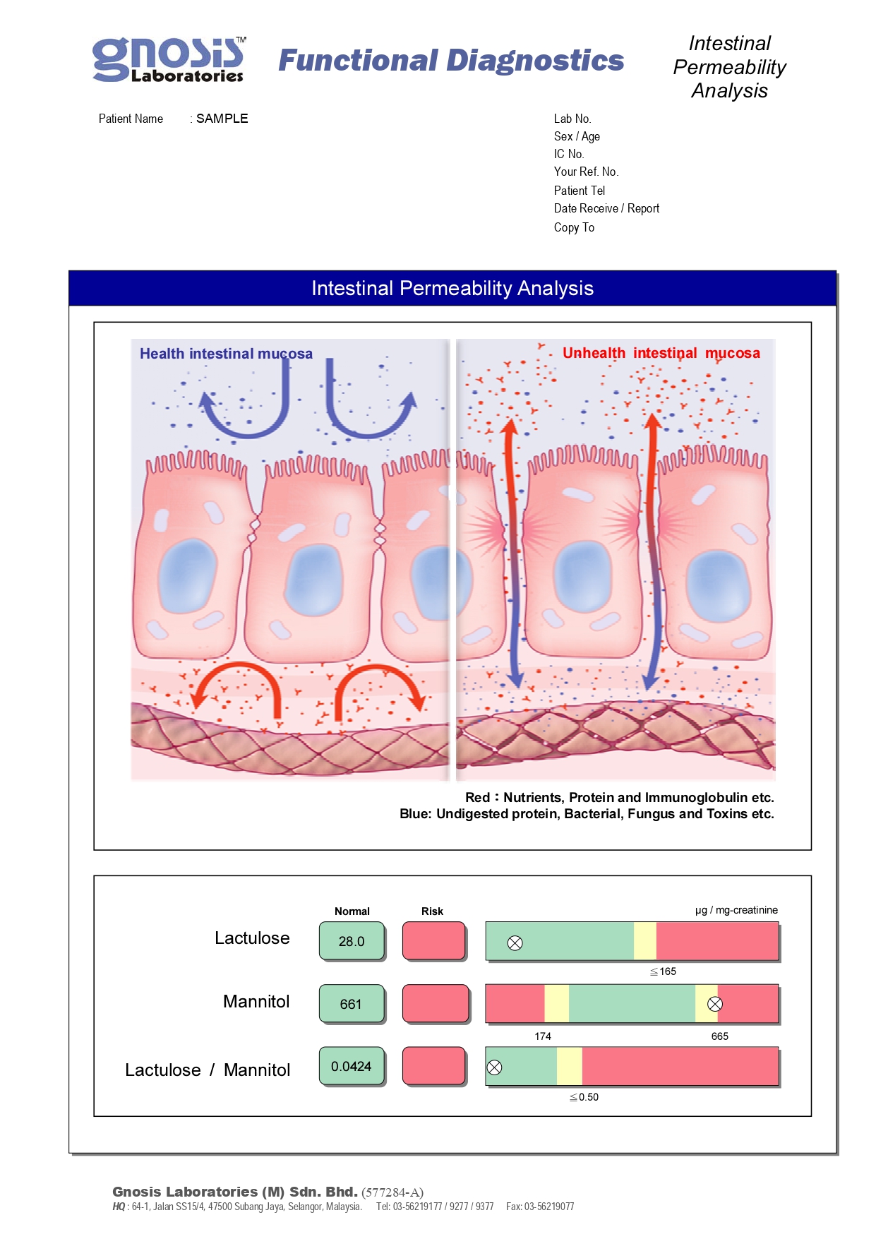 Intestinal permeability analysis of health vs unhealthy mucosa.