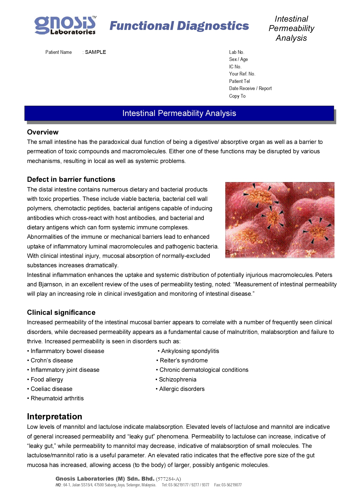 Intestinal permeability analysis document with clinical information.