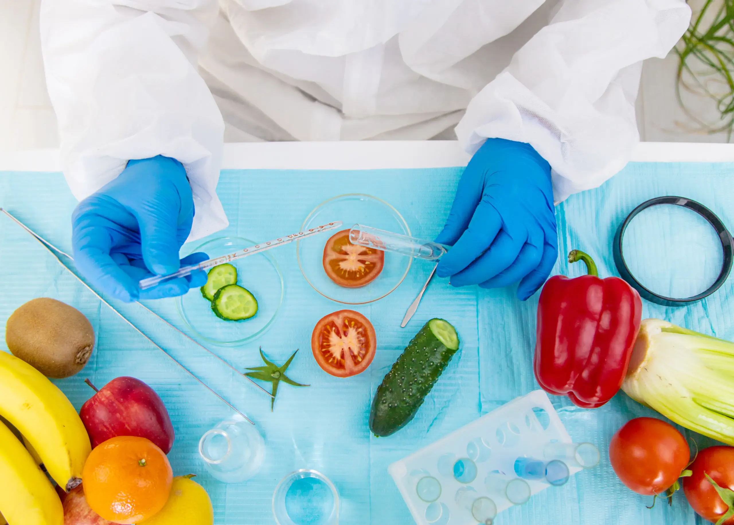 Laboratory testing of different food products for allergy and intolerance