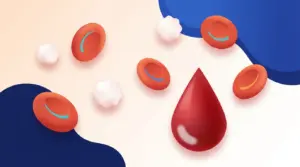 FBC blood test illustration — red and white blood cells with a blood droplet, HDC Medical
