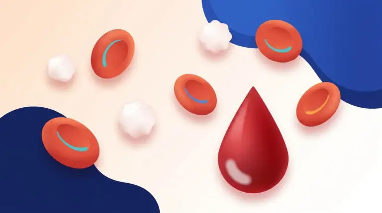 FBC blood test illustration — red and white blood cells with a blood droplet, HDC Medical