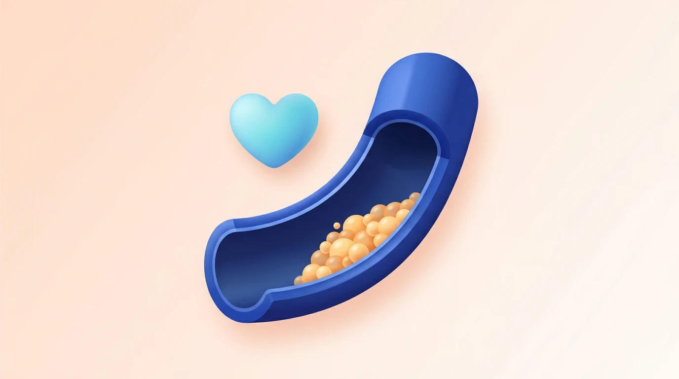 Cholesterol levels illustration — artery cross-section with lipid markers, HDC Medical